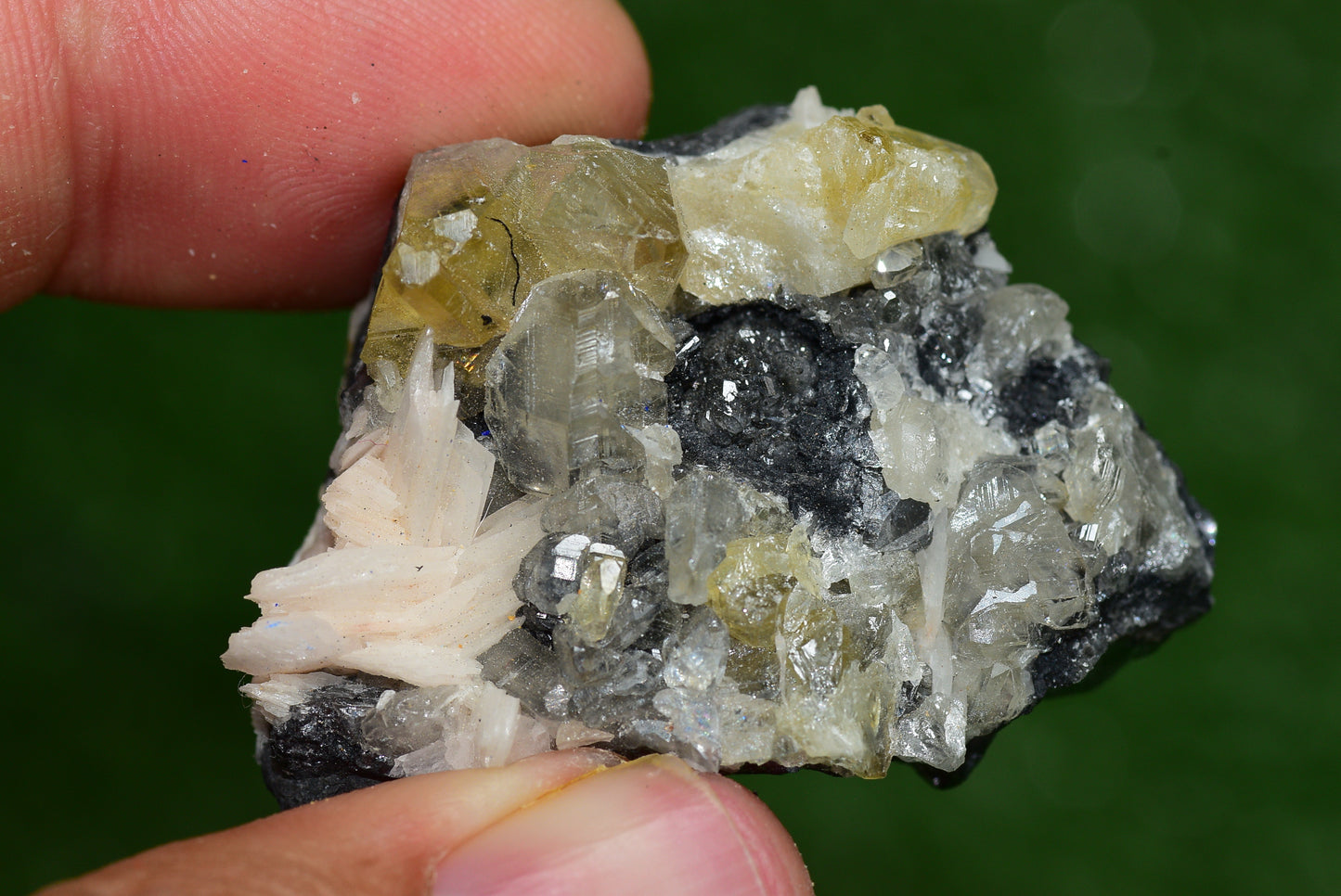Cerussite with Barite & Dendrite Crystals on Galena RARE Genuine Gemstone from Morocco Fluorescent Mineral Powerful Spiritual Gem - MeteoriteNwa.com
