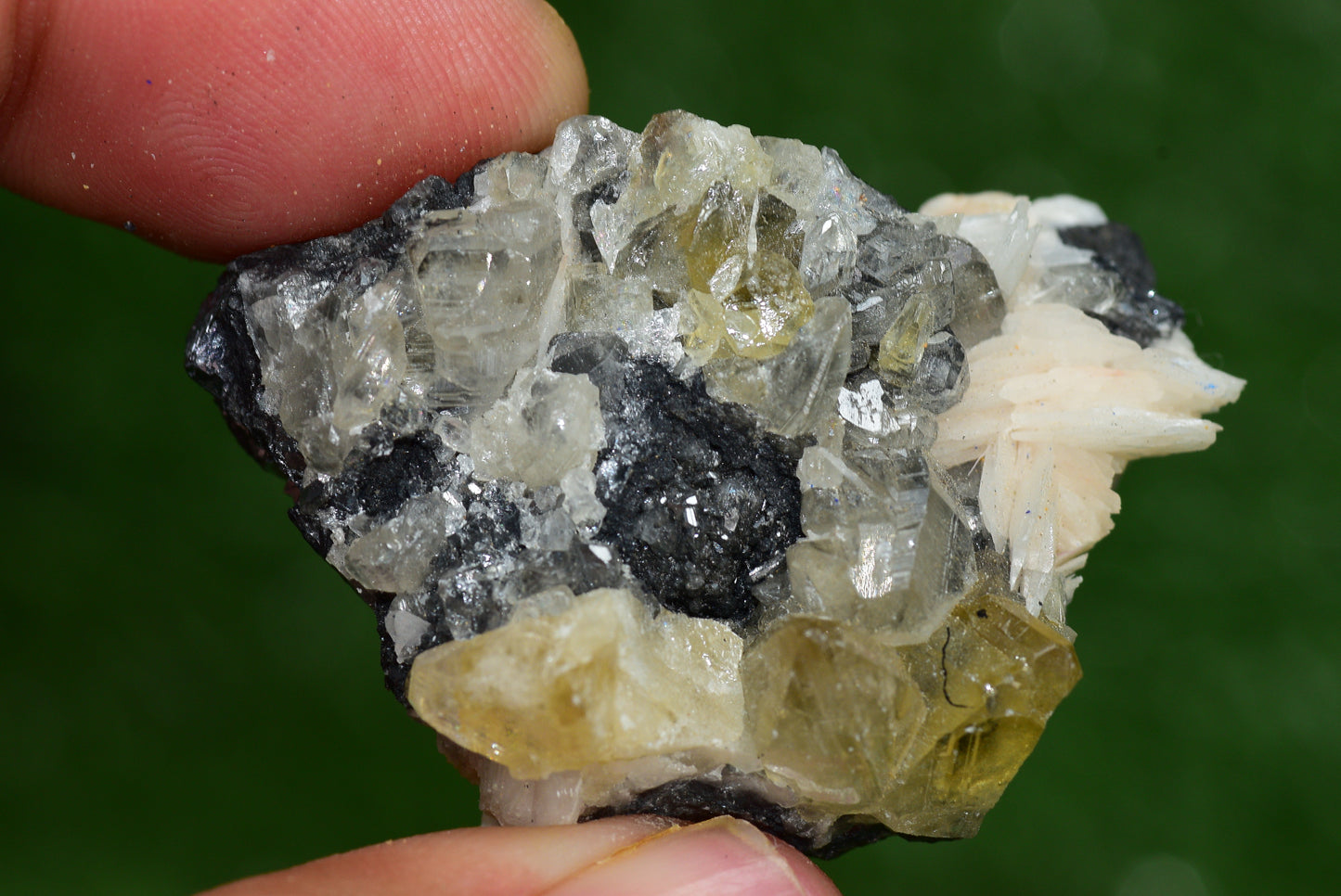 Cerussite with Barite & Dendrite Crystals on Galena RARE Genuine Gemstone from Morocco Fluorescent Mineral Powerful Spiritual Gem - MeteoriteNwa.com