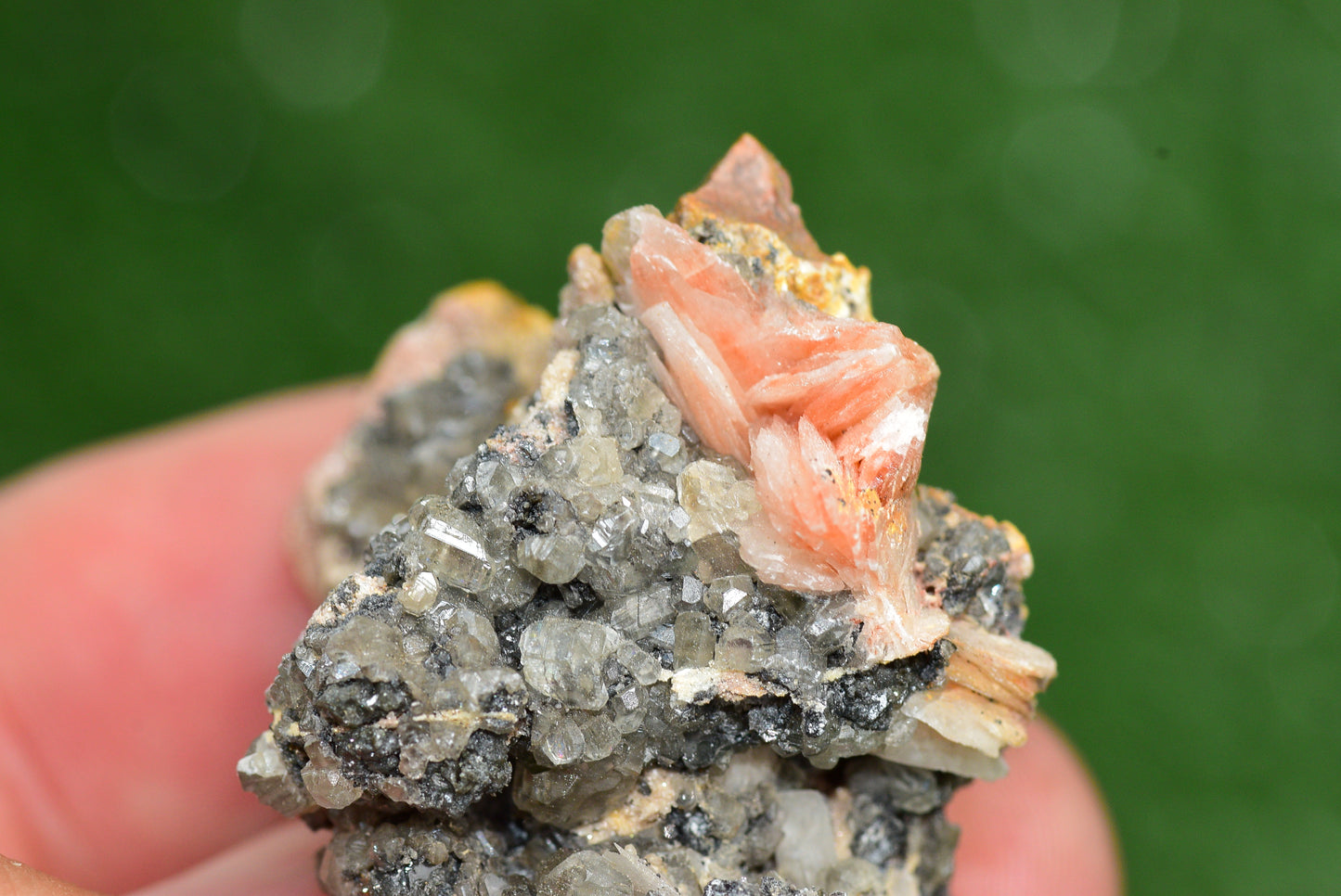Cerussite with Barite & Dendrite Crystals on Galena RARE Genuine Gemstone from Morocco Fluorescent Mineral Powerful Spiritual Gem - MeteoriteNwa.com