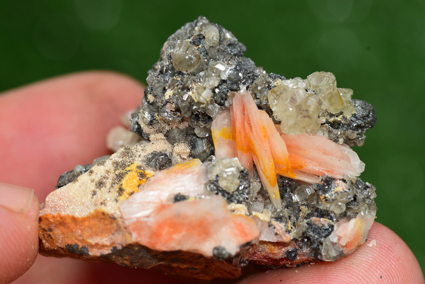 Cerussite with Barite & Dendrite Crystals on Galena RARE Genuine Gemstone from Morocco Fluorescent Mineral Powerful Spiritual Gem - MeteoriteNwa.com