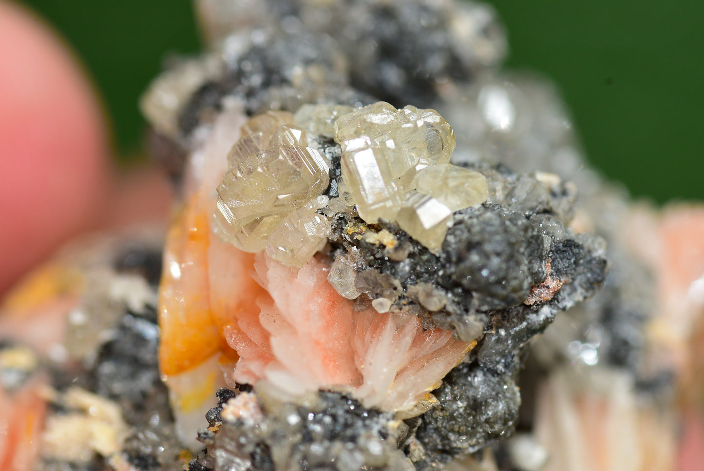 Cerussite with Barite & Dendrite Crystals on Galena RARE Genuine Gemstone from Morocco Fluorescent Mineral Powerful Spiritual Gem - MeteoriteNwa.com
