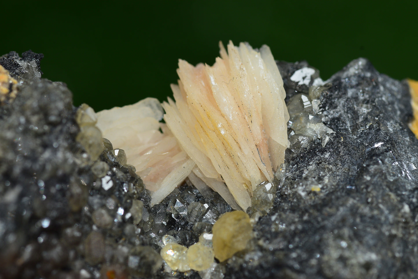 Cerussite with Barite & Dendrite Crystals on Galena RARE Genuine Gemstone from Morocco Fluorescent Mineral Powerful Spiritual Gem - MeteoriteNwa.com