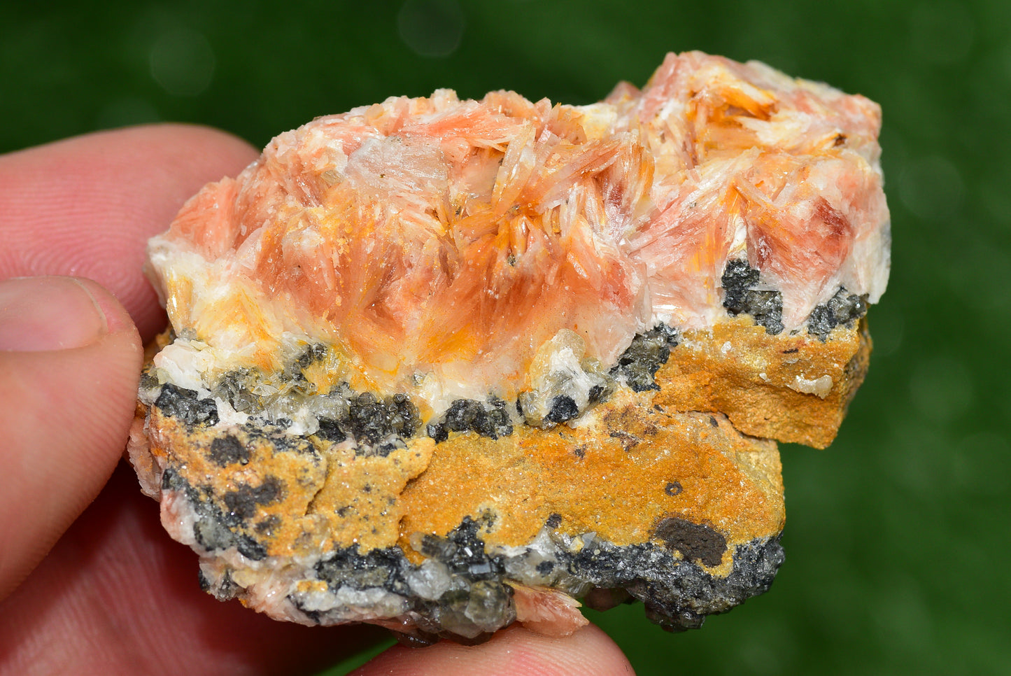 Cerussite with Barite & Dendrite Crystals on Galena RARE Genuine Gemstone from Morocco Fluorescent Mineral Powerful Spiritual Gem - MeteoriteNwa.com