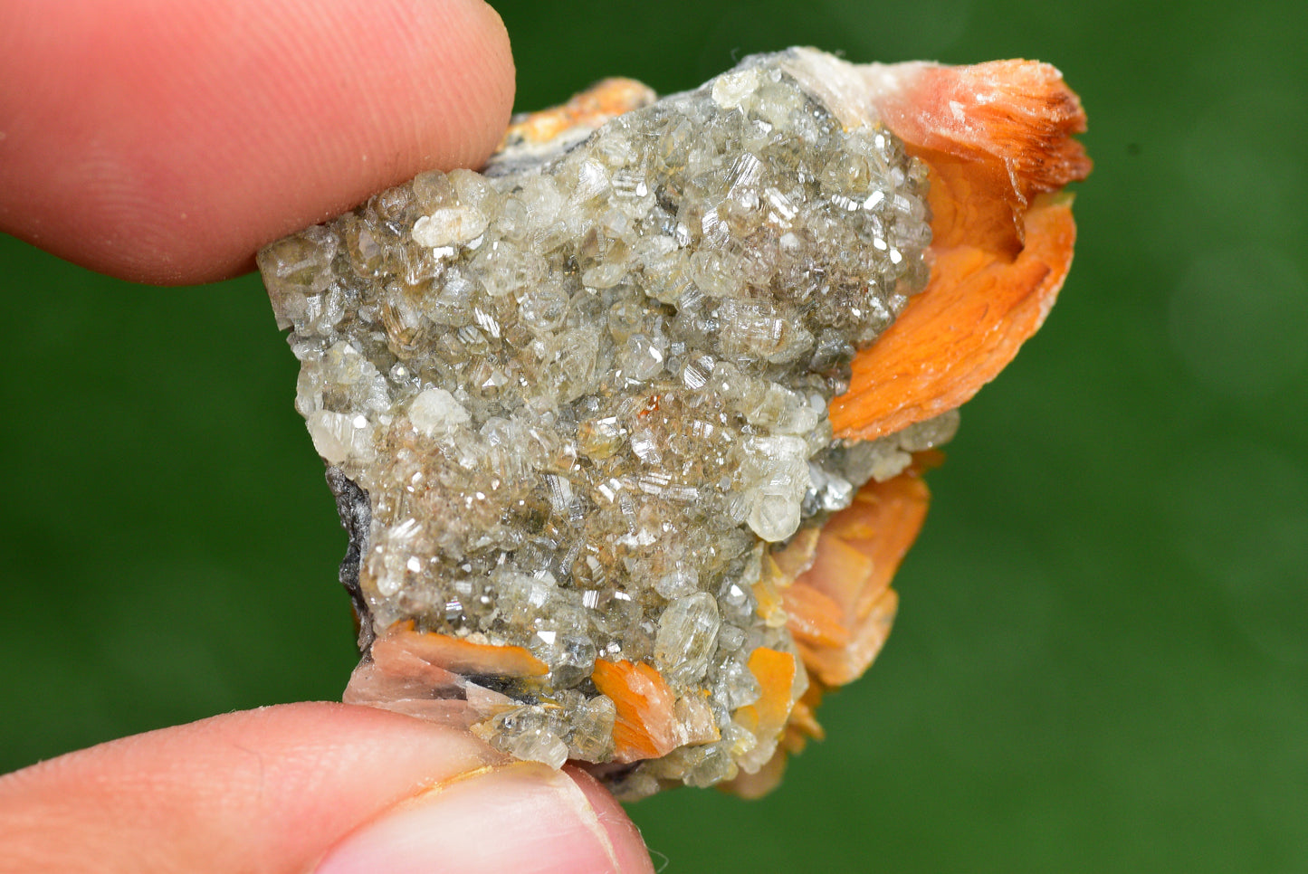 Cerussite with Barite & Dendrite Crystals on Galena RARE Genuine Gemstone from Morocco Fluorescent Mineral Powerful Spiritual Gem - MeteoriteNwa.com