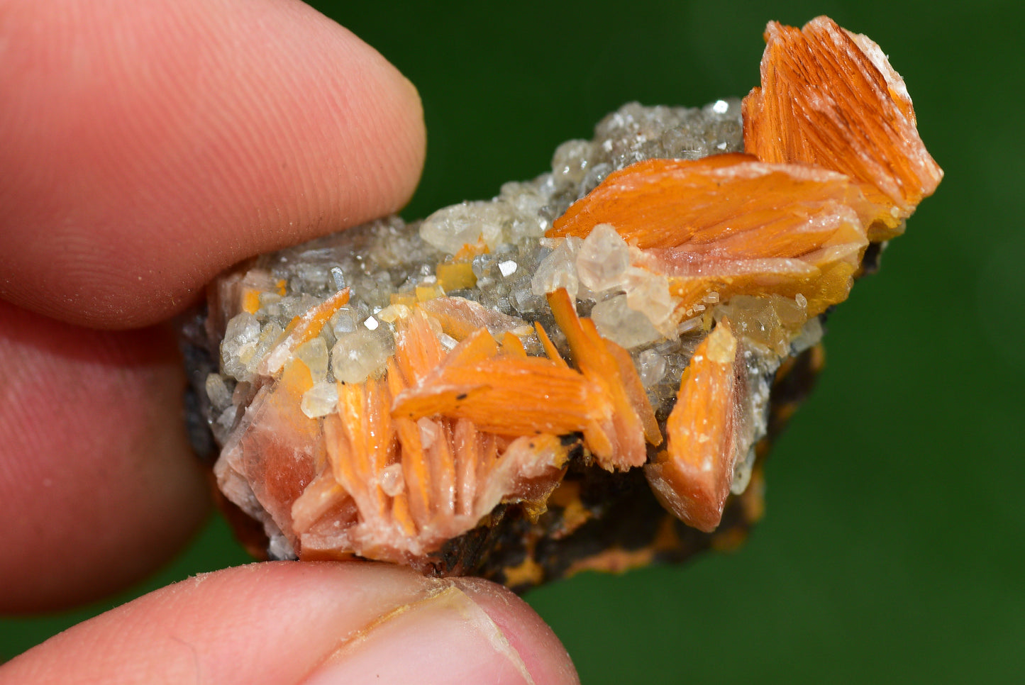 Cerussite with Barite & Dendrite Crystals on Galena RARE Genuine Gemstone from Morocco Fluorescent Mineral Powerful Spiritual Gem - MeteoriteNwa.com