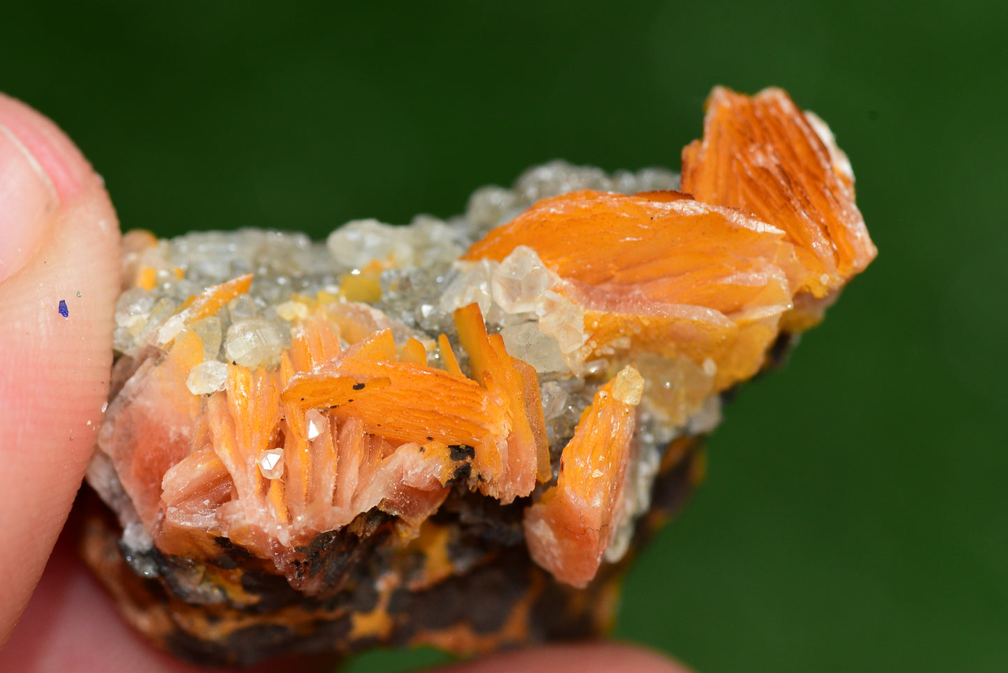 Cerussite with Barite & Dendrite Crystals on Galena RARE Genuine Gemstone from Morocco Fluorescent Mineral Powerful Spiritual Gem - MeteoriteNwa.com