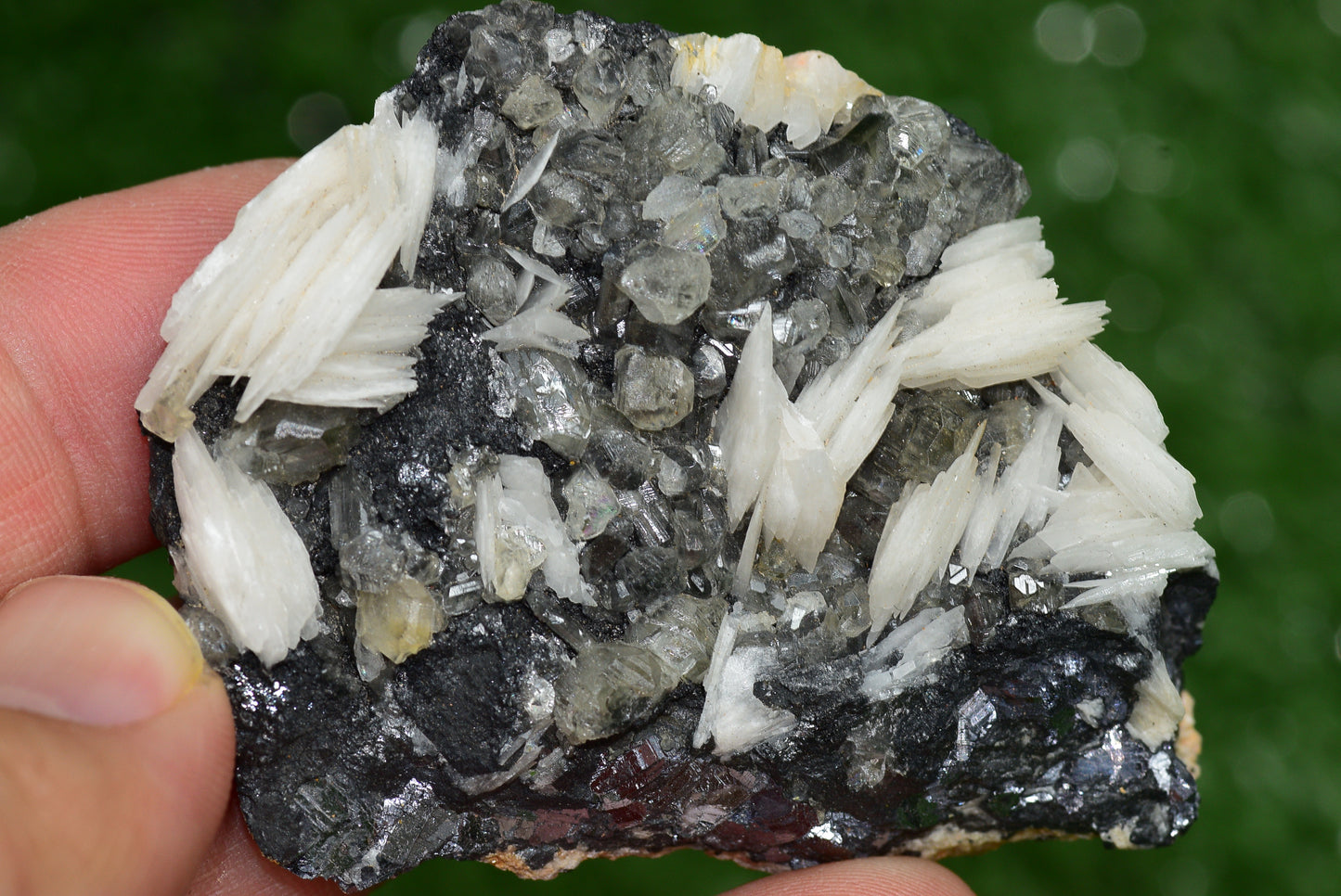 Cerussite with Barite & Dendrite Crystals on Galena RARE Genuine Gemstone from Morocco Fluorescent Mineral Powerful Spiritual Gem - MeteoriteNwa.com