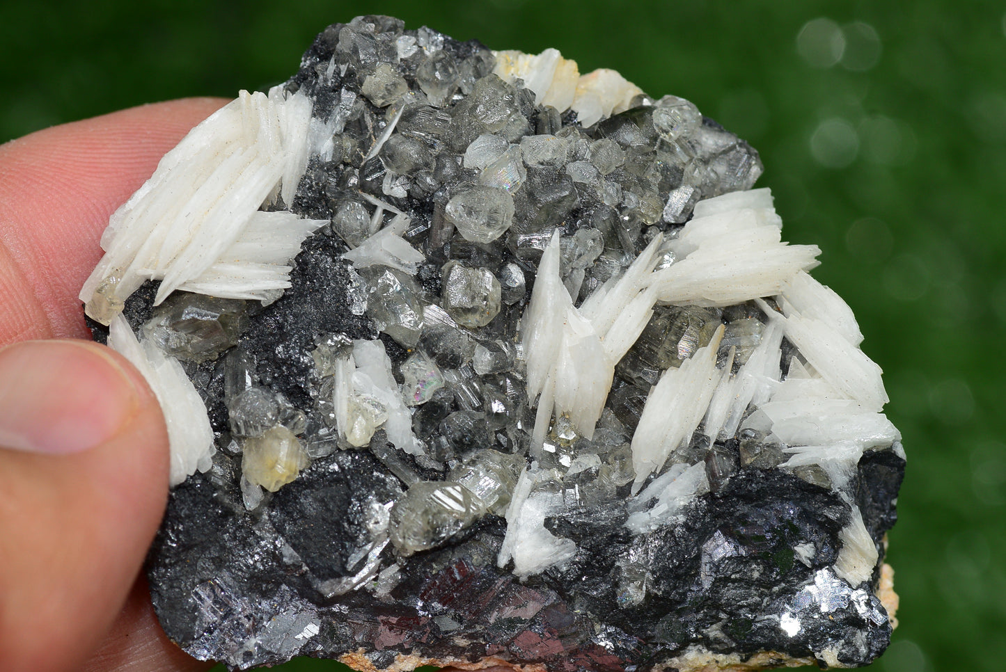 Cerussite with Barite & Dendrite Crystals on Galena RARE Genuine Gemstone from Morocco Fluorescent Mineral Powerful Spiritual Gem - MeteoriteNwa.com