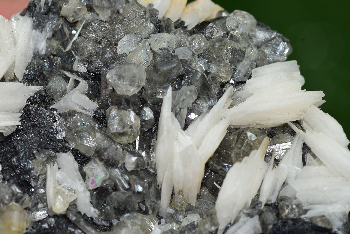 Cerussite with Barite & Dendrite Crystals on Galena RARE Genuine Gemstone from Morocco Fluorescent Mineral Powerful Spiritual Gem - MeteoriteNwa.com