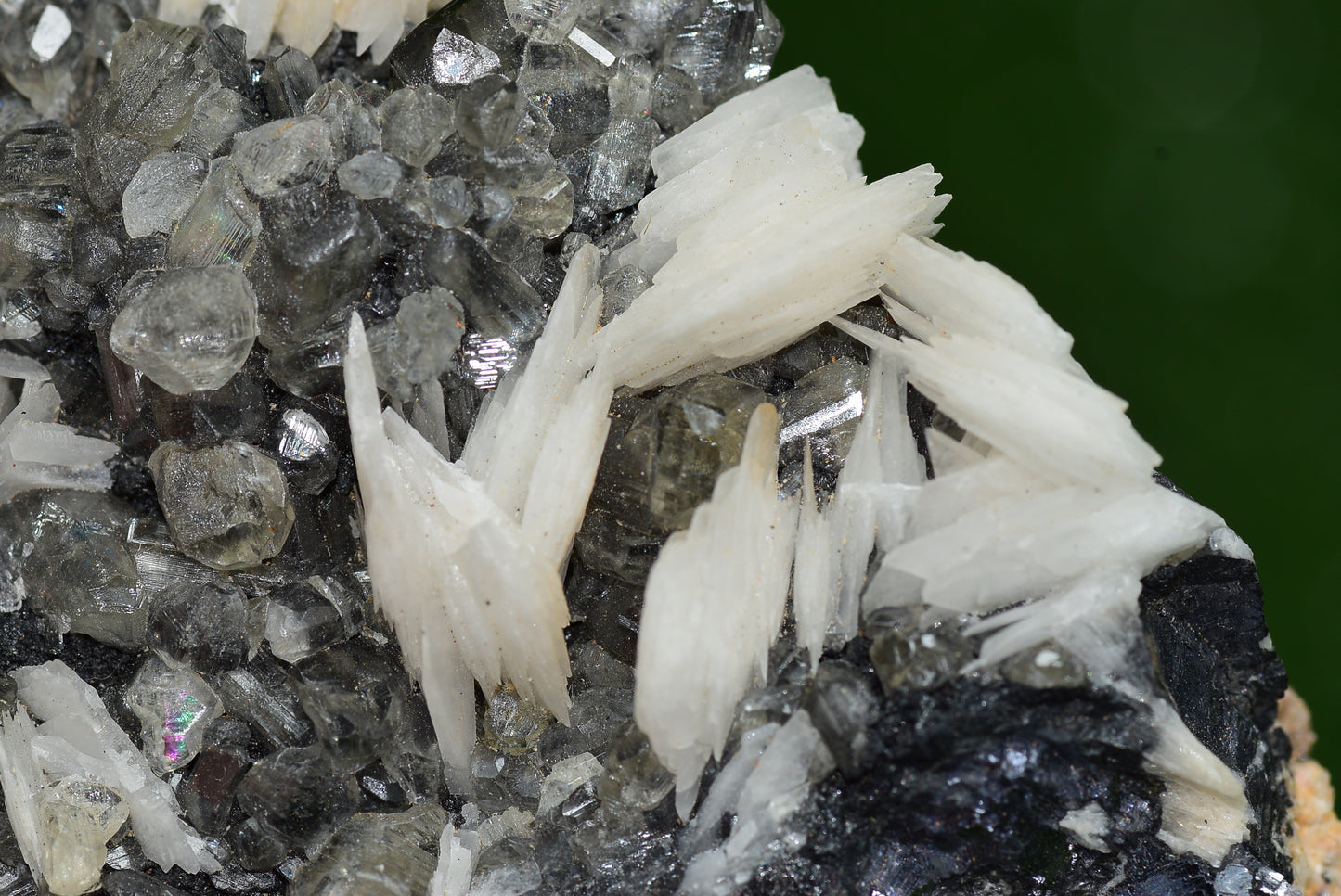 Cerussite with Barite & Dendrite Crystals on Galena RARE Genuine Gemstone from Morocco Fluorescent Mineral Powerful Spiritual Gem - MeteoriteNwa.com