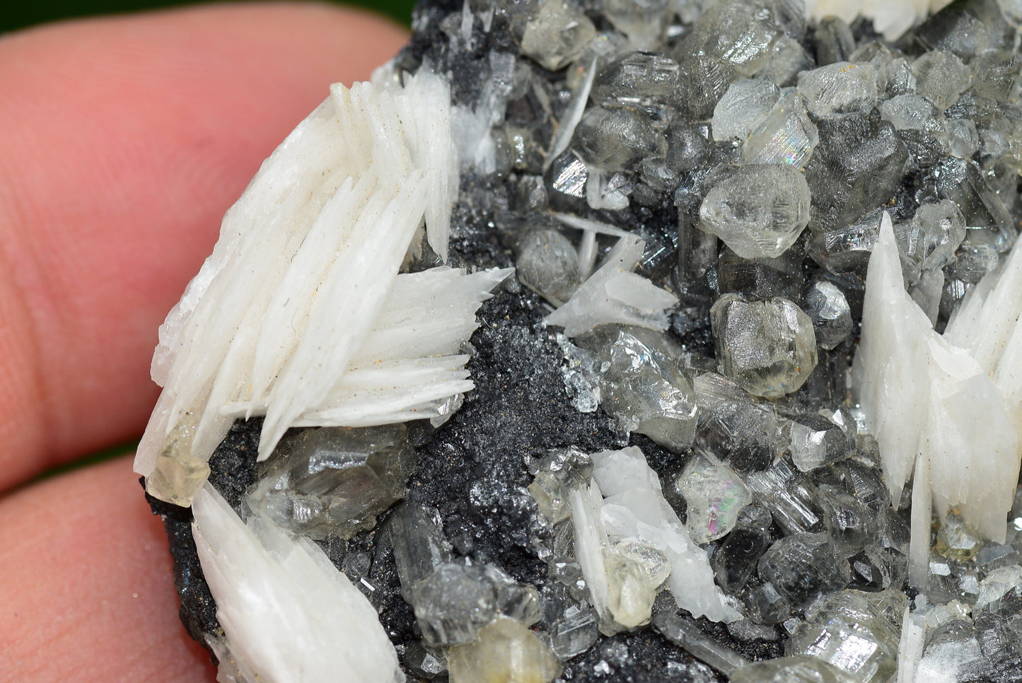 Cerussite with Barite & Dendrite Crystals on Galena RARE Genuine Gemstone from Morocco Fluorescent Mineral Powerful Spiritual Gem - MeteoriteNwa.com
