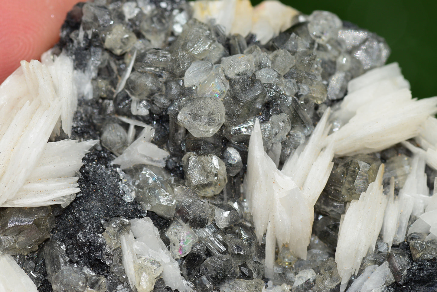 Cerussite with Barite & Dendrite Crystals on Galena RARE Genuine Gemstone from Morocco Fluorescent Mineral Powerful Spiritual Gem - MeteoriteNwa.com