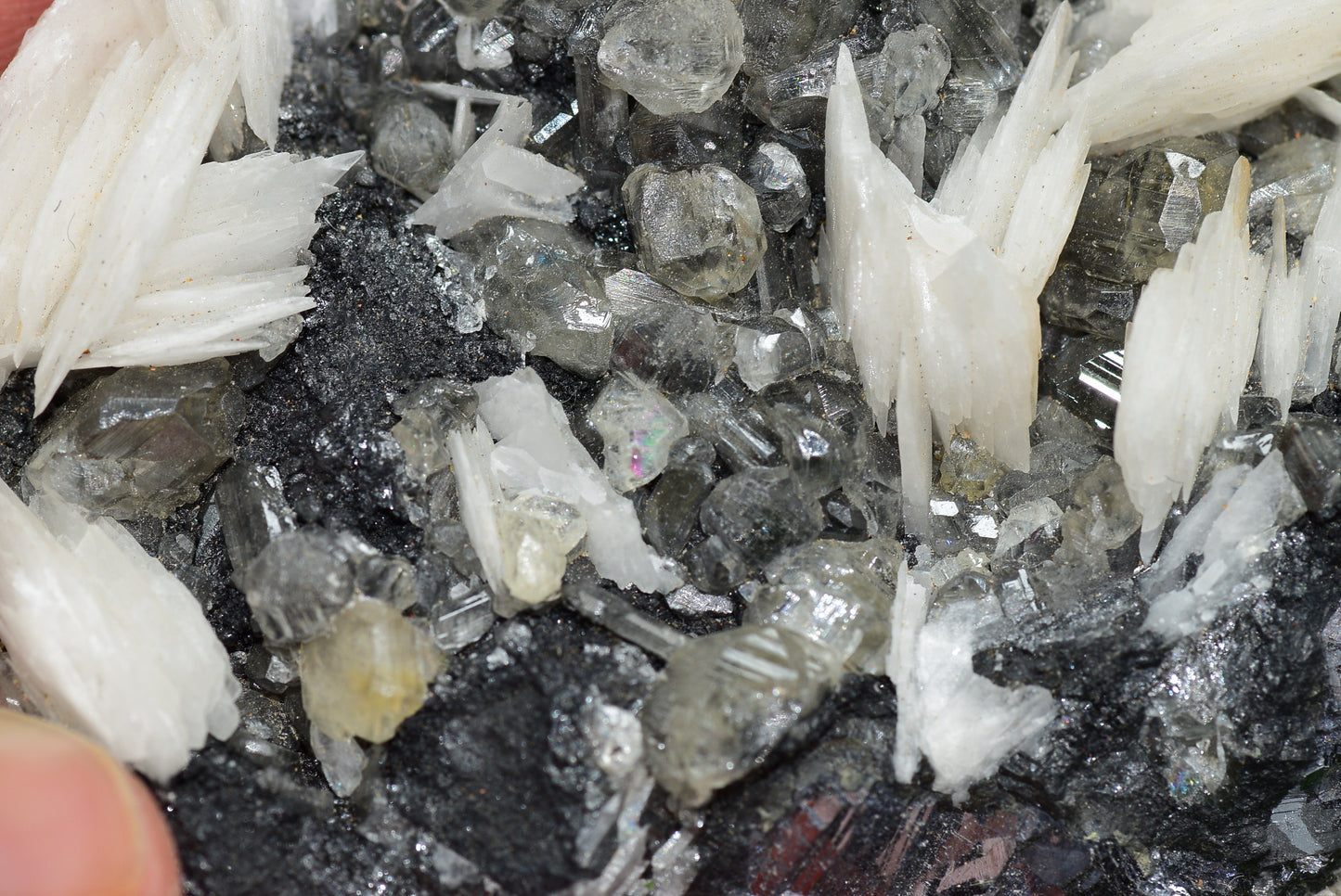 Cerussite with Barite & Dendrite Crystals on Galena RARE Genuine Gemstone from Morocco Fluorescent Mineral Powerful Spiritual Gem - MeteoriteNwa.com