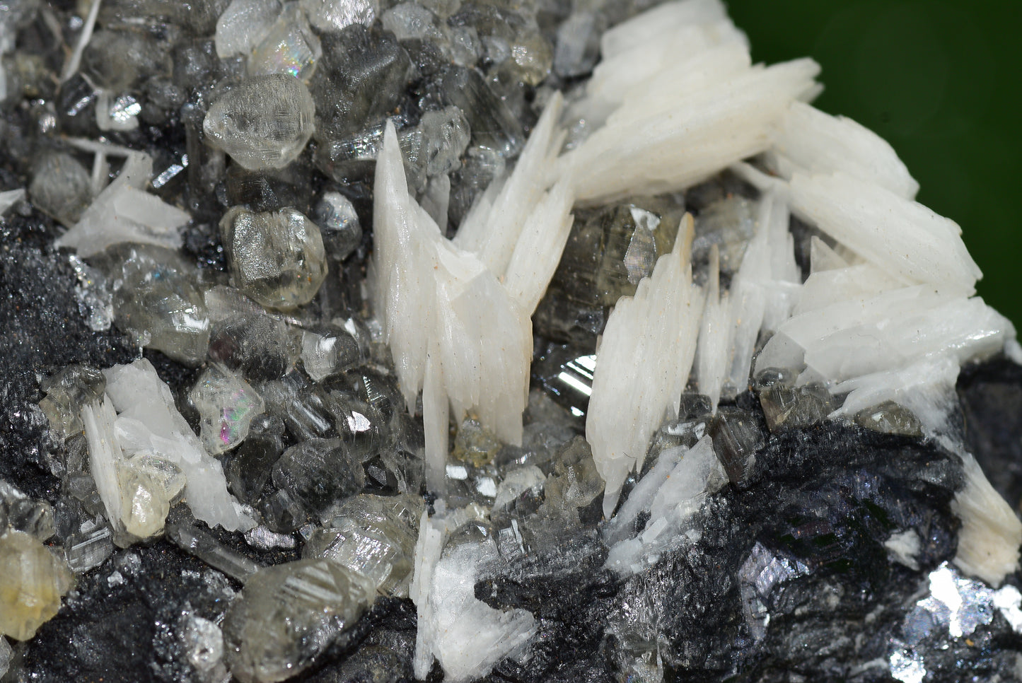 Cerussite with Barite & Dendrite Crystals on Galena RARE Genuine Gemstone from Morocco Fluorescent Mineral Powerful Spiritual Gem - MeteoriteNwa.com