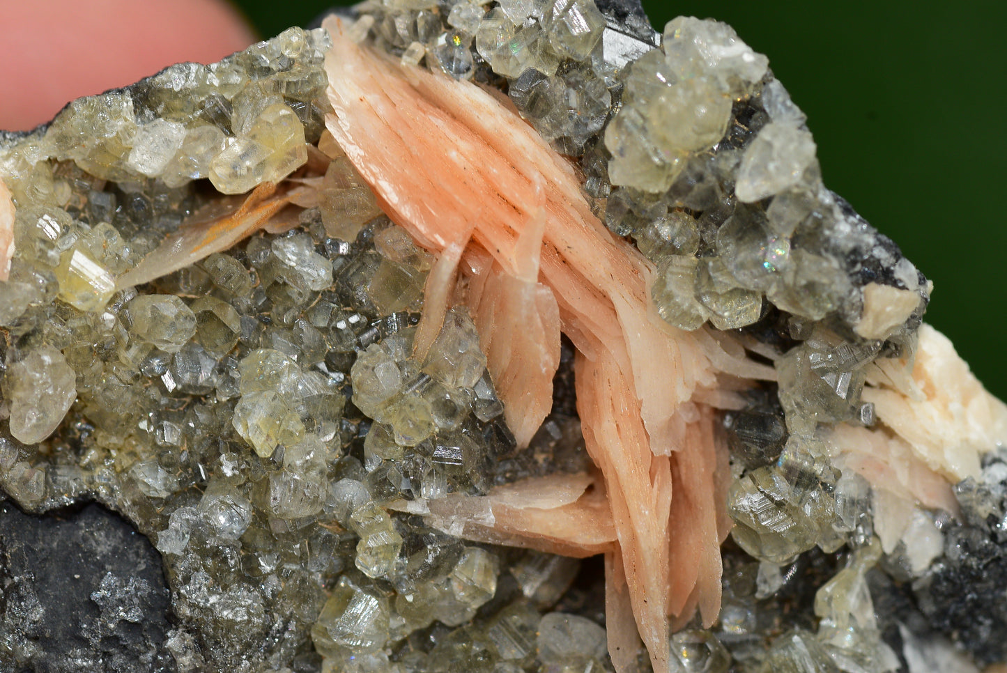 Cerussite with Barite & Dendrite Crystals on Galena RARE Genuine Gemstone from Morocco Fluorescent Mineral Powerful Spiritual Gem - MeteoriteNwa.com
