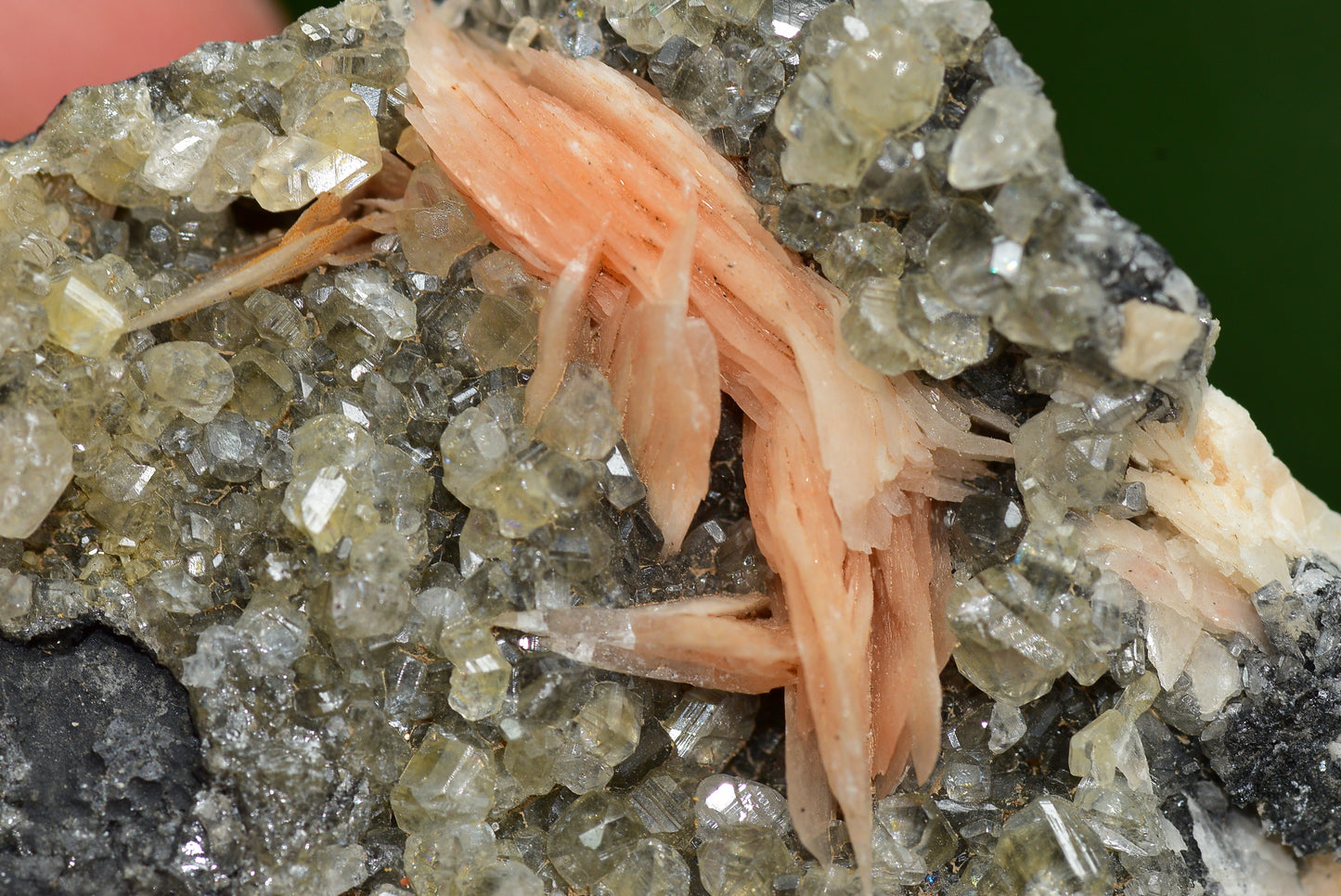 Cerussite with Barite & Dendrite Crystals on Galena RARE Genuine Gemstone from Morocco Fluorescent Mineral Powerful Spiritual Gem - MeteoriteNwa.com