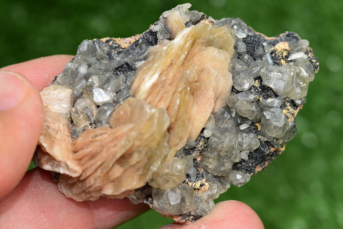 Cerussite with Barite & Dendrite Crystals on Galena RARE Genuine Gemstone from Morocco Fluorescent Mineral Powerful Spiritual Gem - MeteoriteNwa.com