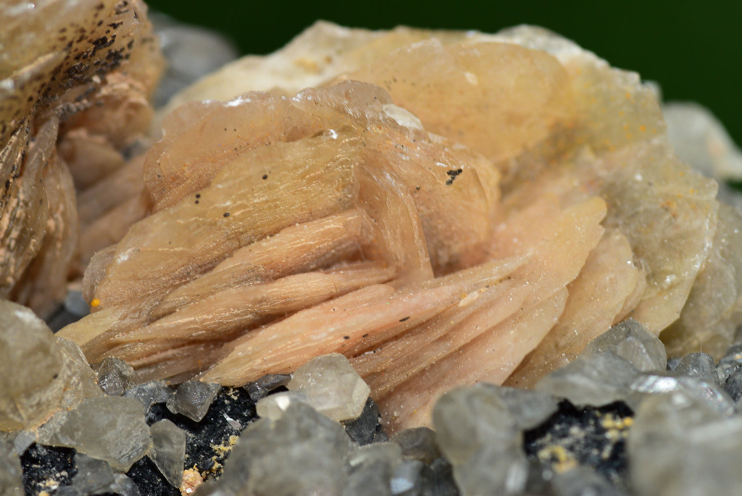 Cerussite with Barite & Dendrite Crystals on Galena RARE Genuine Gemstone from Morocco Fluorescent Mineral Powerful Spiritual Gem - MeteoriteNwa.com
