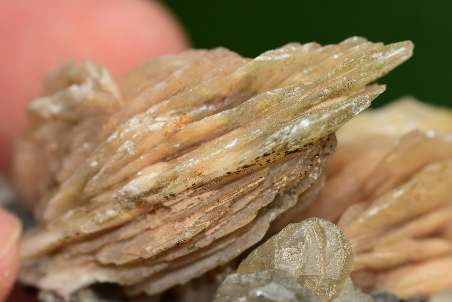 Cerussite with Barite & Dendrite Crystals on Galena RARE Genuine Gemstone from Morocco Fluorescent Mineral Powerful Spiritual Gem - MeteoriteNwa.com