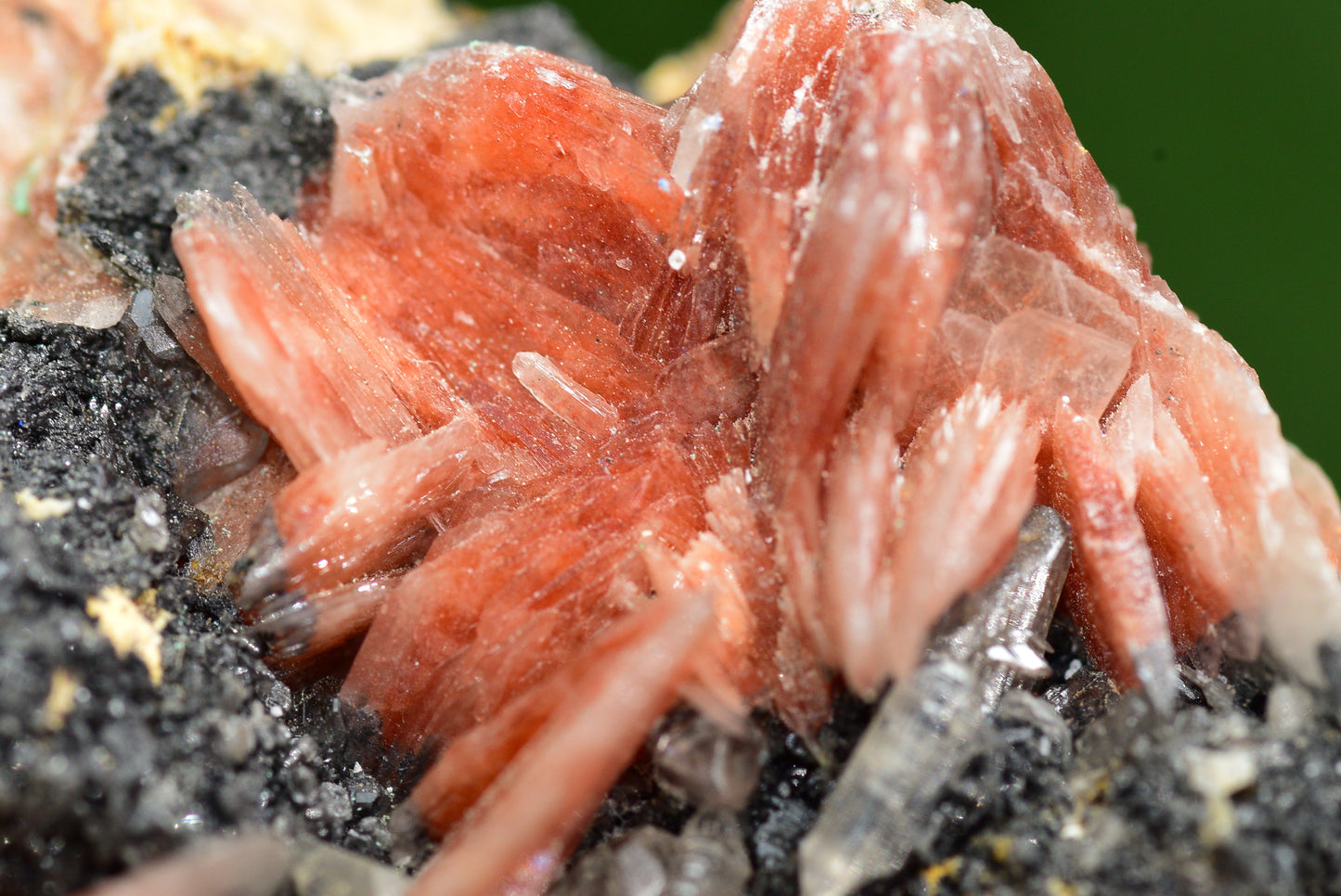 Cerussite with Barite & Dendrite Crystals on Galena RARE Genuine Gemstone from Morocco Fluorescent Mineral Powerful Spiritual Gem - MeteoriteNwa.com