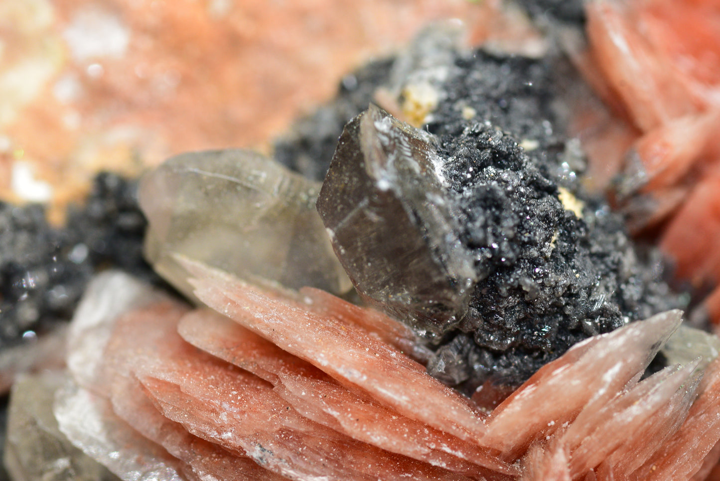 Cerussite with Barite & Dendrite Crystals on Galena RARE Genuine Gemstone from Morocco Fluorescent Mineral Powerful Spiritual Gem - MeteoriteNwa.com