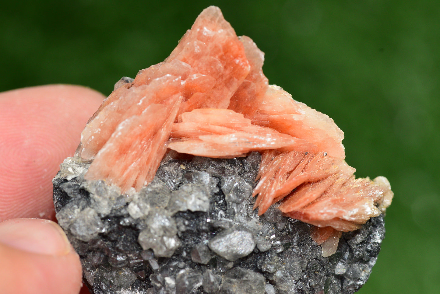 Cerussite with Barite & Dendrite Crystals on Galena RARE Genuine Gemstone from Morocco Fluorescent Mineral Powerful Spiritual Gem - MeteoriteNwa.com