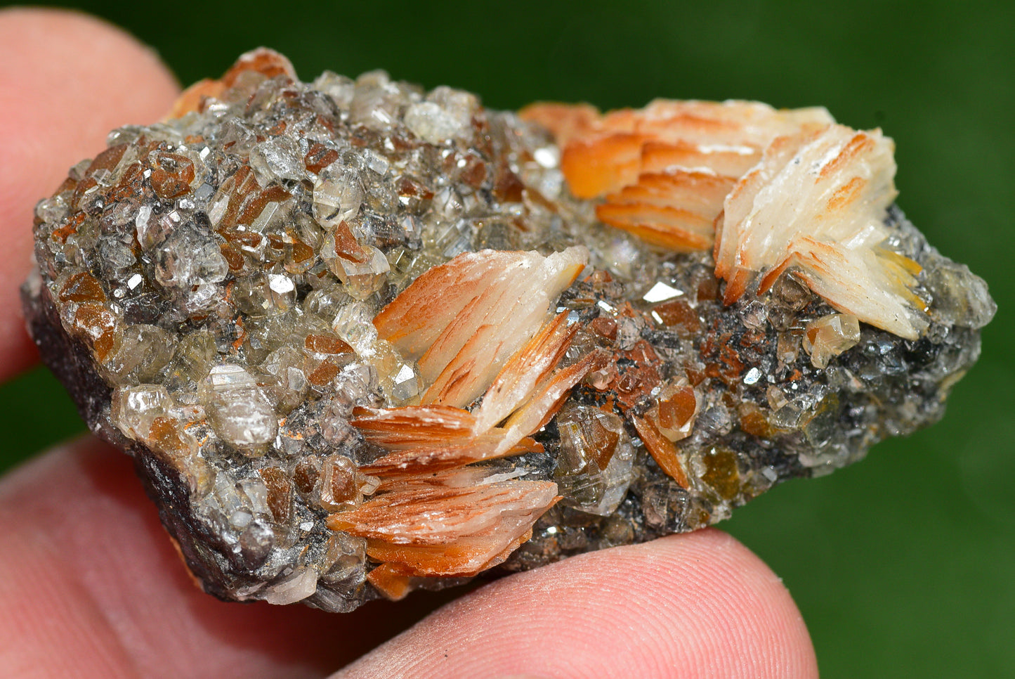 Cerussite with Barite & Dendrite Crystals on Galena RARE Genuine Gemstone from Morocco Fluorescent Mineral Powerful Spiritual Gem - MeteoriteNwa.com