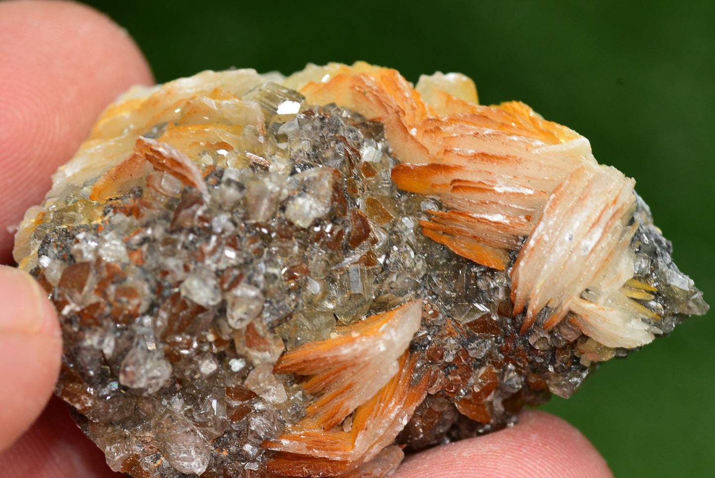 Cerussite with Barite & Dendrite Crystals on Galena RARE Genuine Gemstone from Morocco Fluorescent Mineral Powerful Spiritual Gem - MeteoriteNwa.com