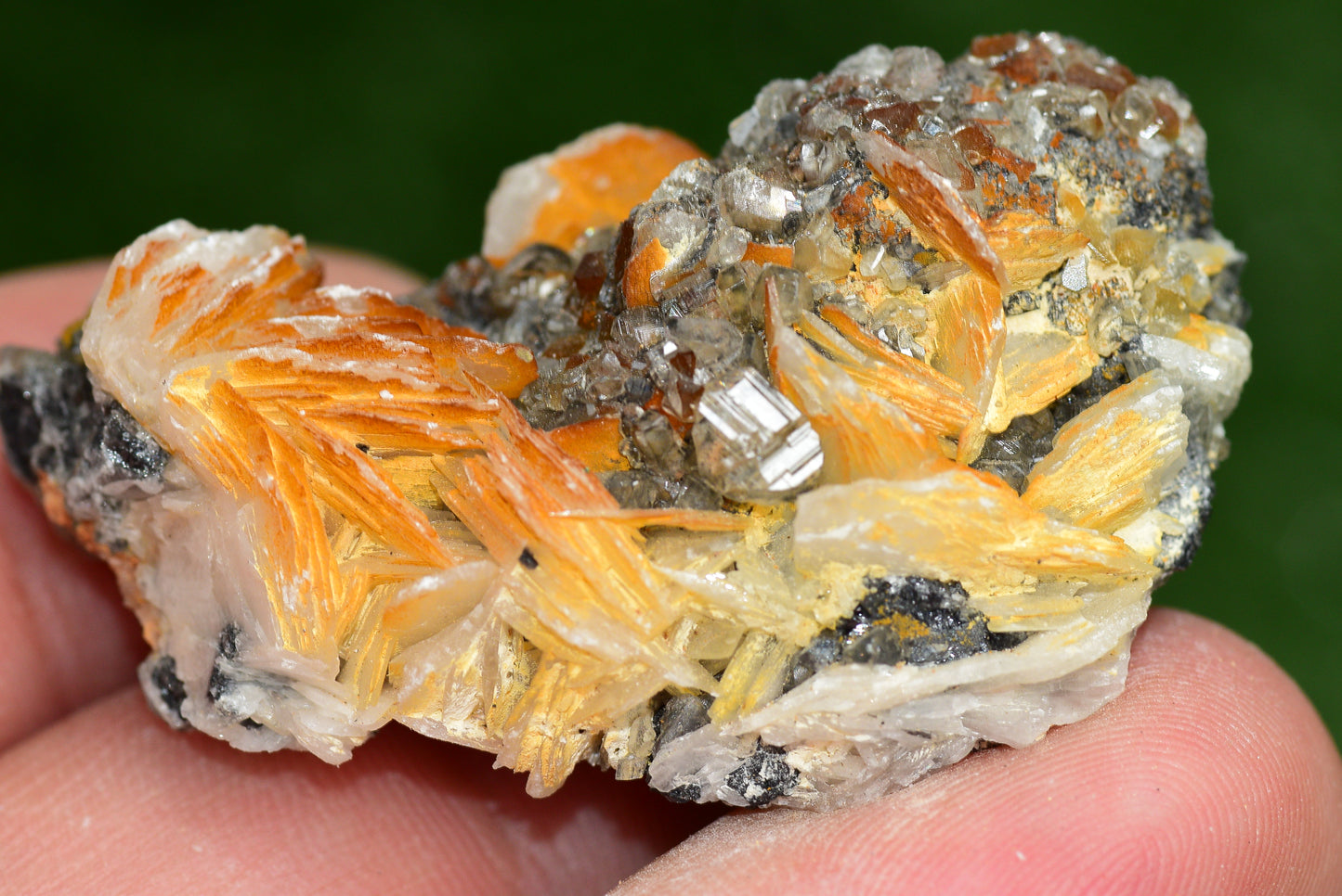 Cerussite with Barite & Dendrite Crystals on Galena RARE Genuine Gemstone from Morocco Fluorescent Mineral Powerful Spiritual Gem - MeteoriteNwa.com