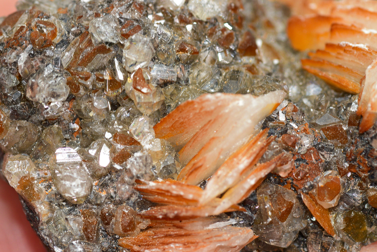 Cerussite with Barite & Dendrite Crystals on Galena RARE Genuine Gemstone from Morocco Fluorescent Mineral Powerful Spiritual Gem - MeteoriteNwa.com