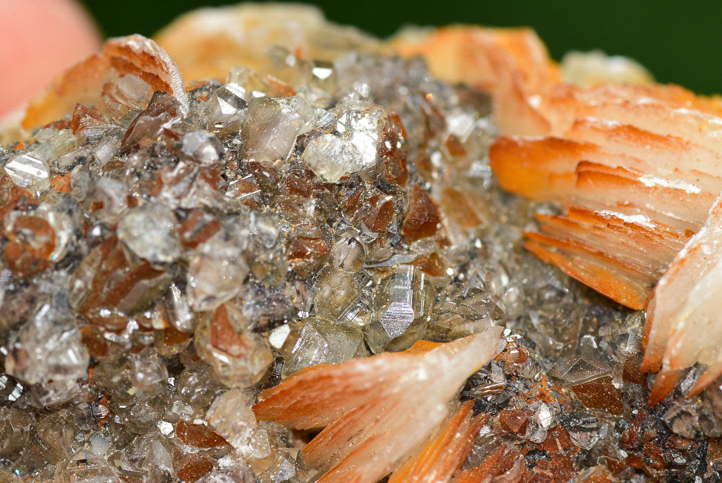 Cerussite with Barite & Dendrite Crystals on Galena RARE Genuine Gemstone from Morocco Fluorescent Mineral Powerful Spiritual Gem - MeteoriteNwa.com