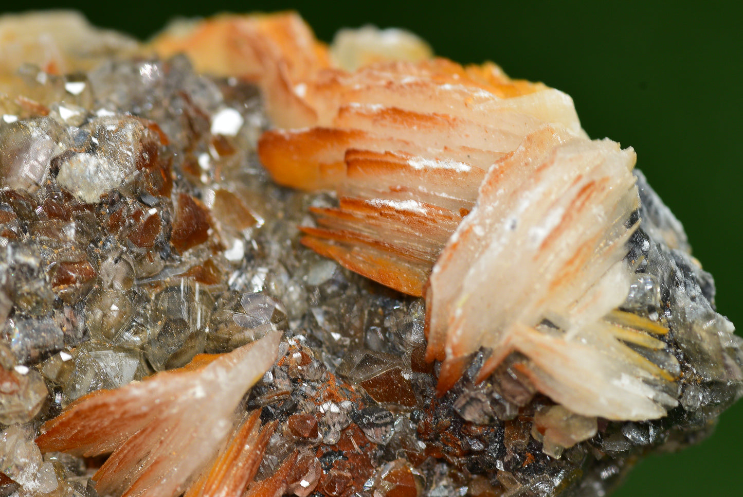 Cerussite with Barite & Dendrite Crystals on Galena RARE Genuine Gemstone from Morocco Fluorescent Mineral Powerful Spiritual Gem - MeteoriteNwa.com