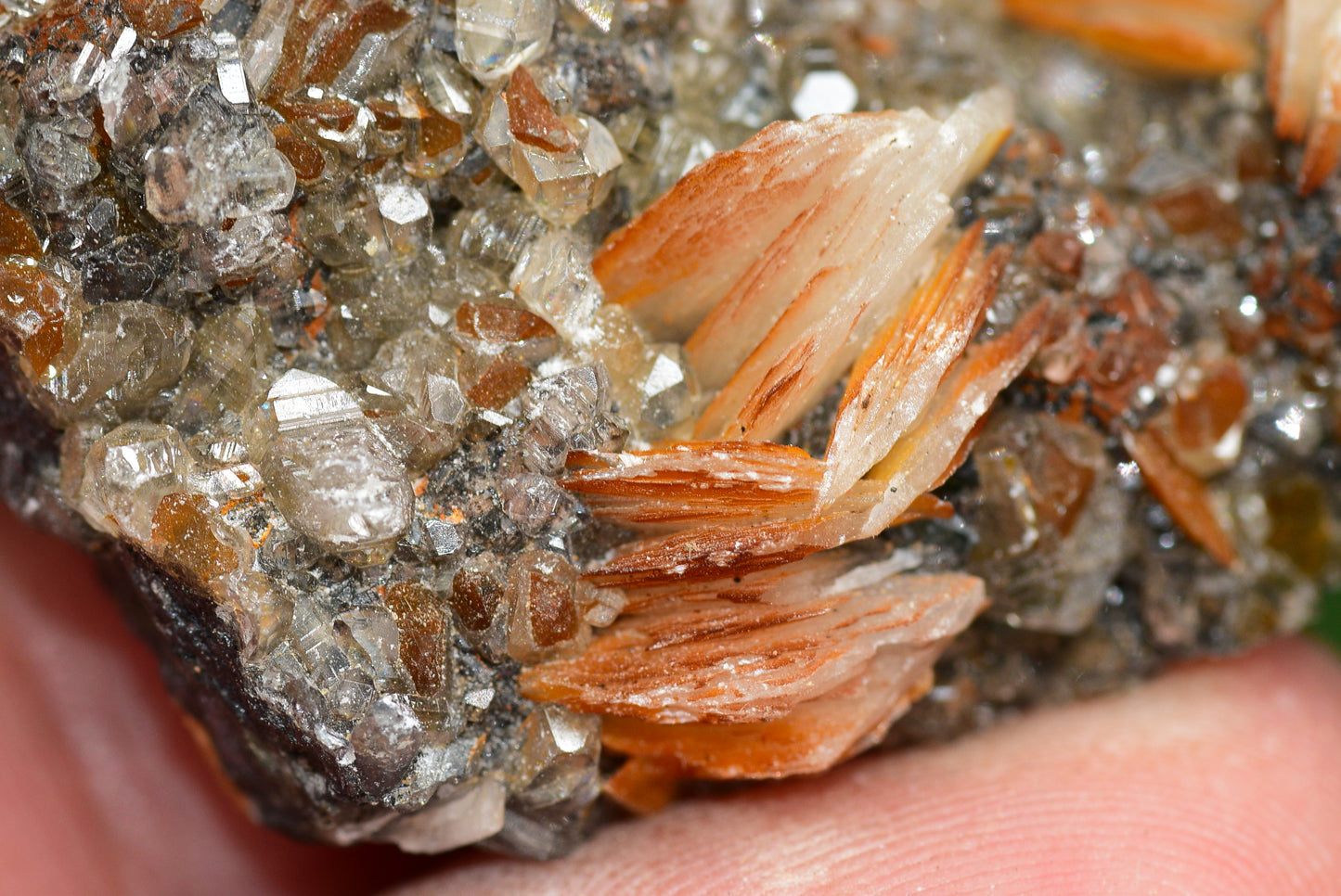 Cerussite with Barite & Dendrite Crystals on Galena RARE Genuine Gemstone from Morocco Fluorescent Mineral Powerful Spiritual Gem - MeteoriteNwa.com