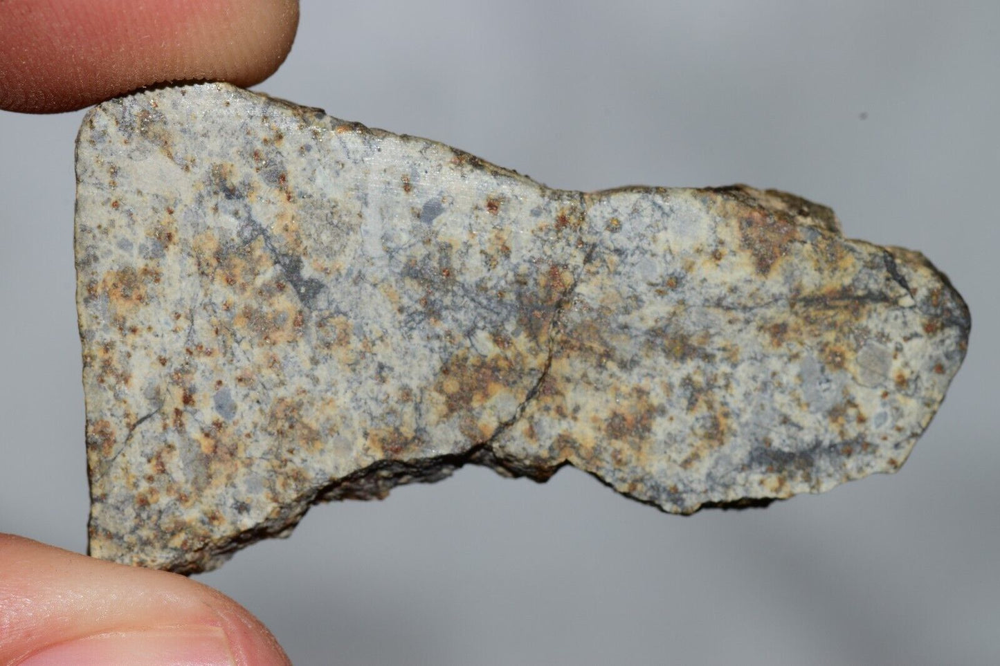 Meteorite Chondrite LL6 NWA 14225 Slice 7.11G with black shock melt veins. W COA - MeteoriteNwa.com