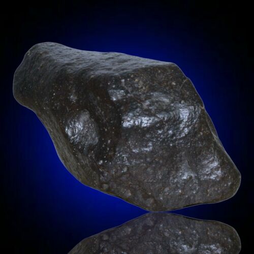 Meteorite chondrite Ordinary H4 NWA 14003 Complete fragment - 229.8g - MeteoriteNwa.com