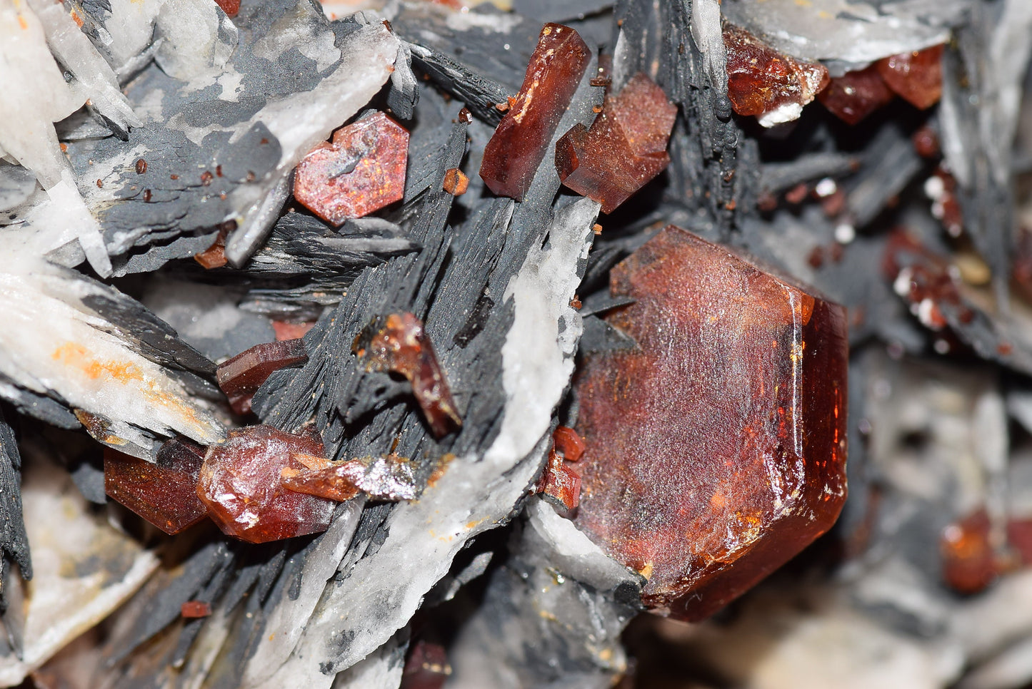 Vanadinite Mineral on Matrix Red Orange Genuine Crystals from Morocco Raw Druzy Natural Specimen Earth Chakra Grounding Gemstone - MeteoriteNwa.com