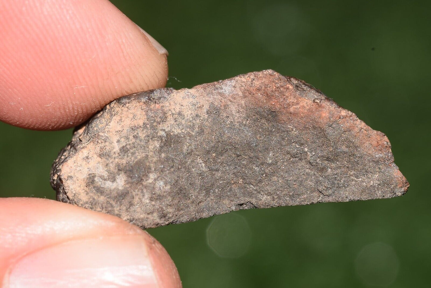 Meteorite chondrite Brownish L6 Nwa 15406 Endcut 10.5 g - MeteoriteNwa.com
