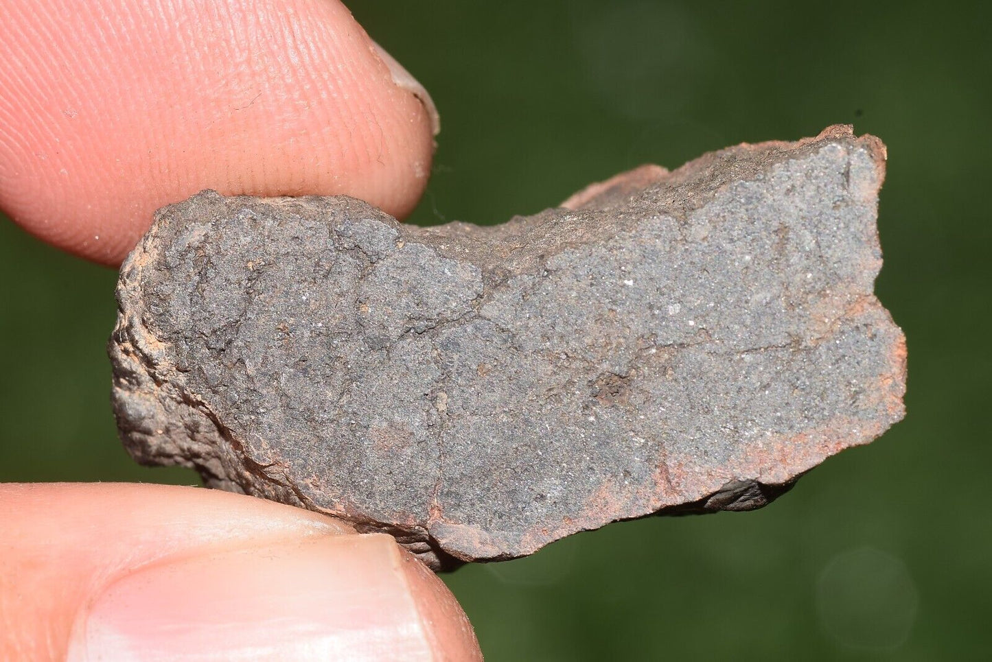Meteorite chondrite Brownish L6 Nwa 15406 Endcut 10.5 g - MeteoriteNwa.com
