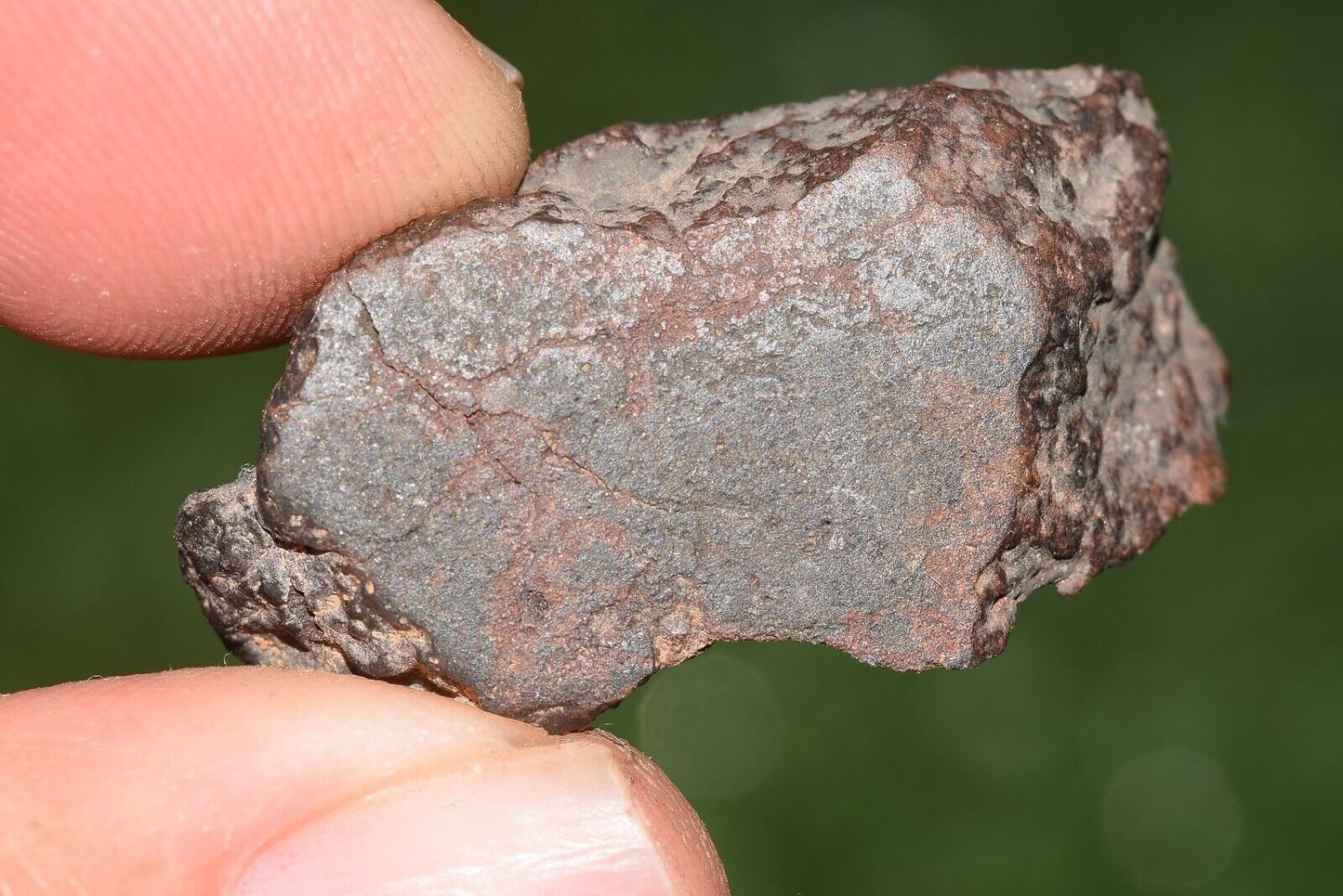 Meteorite chondrite Brownish L6 Nwa 15406 Endcut 10.5 g - MeteoriteNwa.com