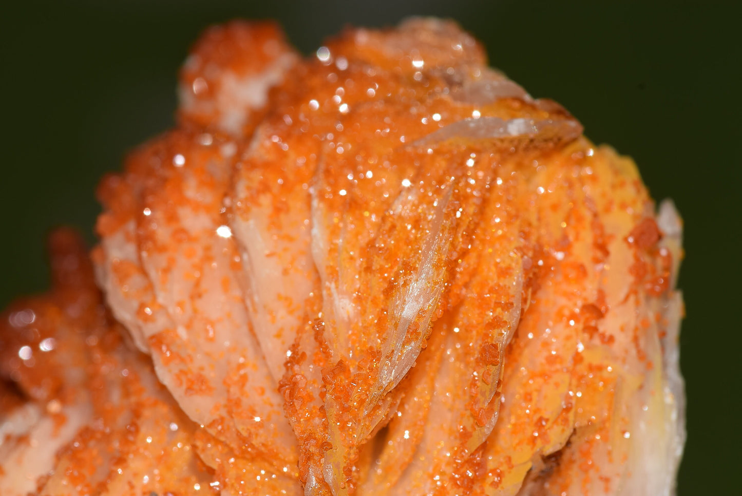 Vanadinite Mineral on Matrix Red Orange Genuine Crystals from Morocco Raw Druzy Natural Specimen Earth Chakra Grounding Gemstone - MeteoriteNwa.com