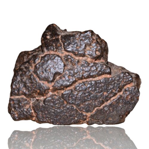 Meteorite CR2 Carbonaceous chondrite Rare NWA 14870 main mass 111.4 G Fragment! - MeteoriteNwa.com