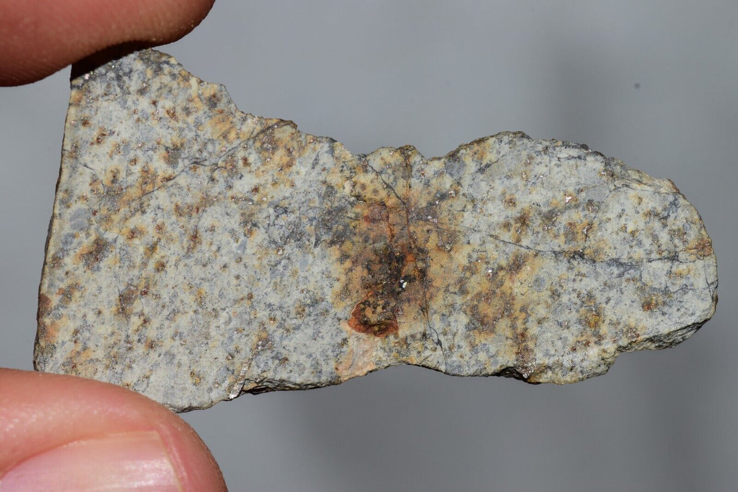 Meteorite Chondrite LL6 NWA 14225 Slice 7.11G with black shock melt veins. W COA - MeteoriteNwa.com