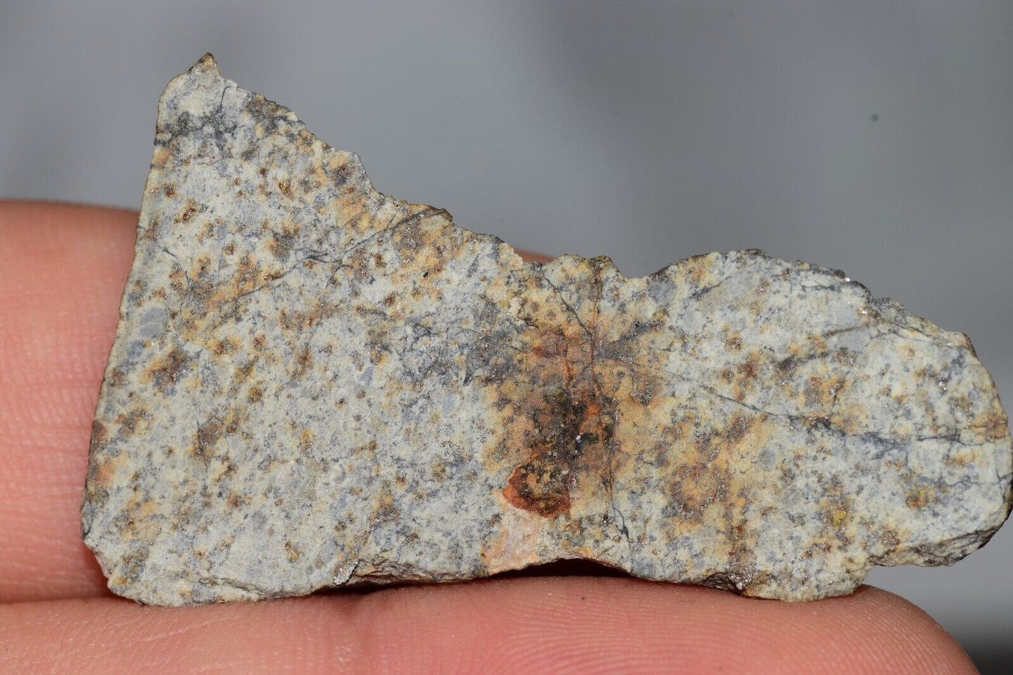 Meteorite Chondrite LL6 NWA 14225 Slice 7.11G with black shock melt veins. W COA - MeteoriteNwa.com