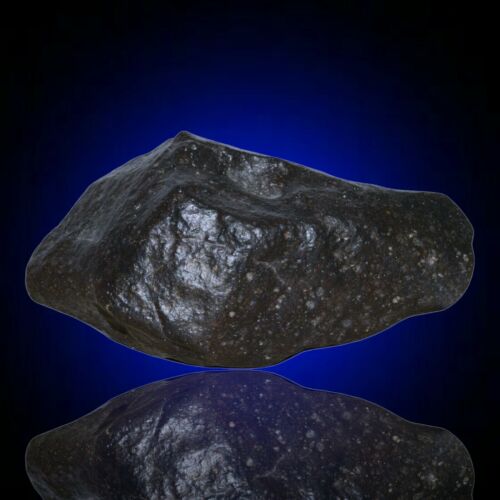 Meteorite chondrite Ordinary H4 NWA 14003 Complete fragment - 229.8g - MeteoriteNwa.com