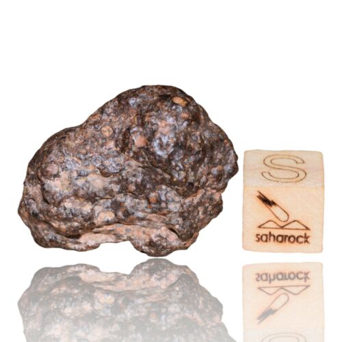 Meteorite CR2 Carbonaceous chondrite Rare NWA 14870 Wonderful 9.59 G Fragment! - MeteoriteNwa.com