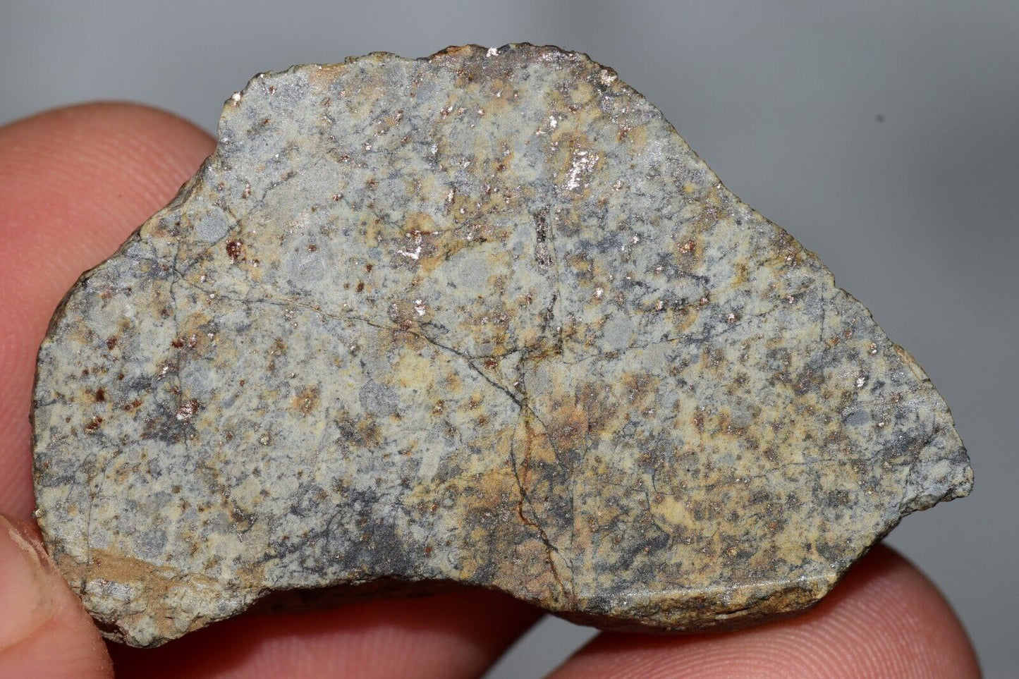 Meteorite Chondrite LL6 NWA 14225 Slice 15.9G with black shock melt veins. W COA - MeteoriteNwa.com