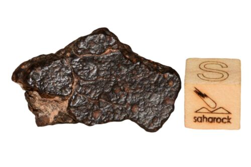Meteorite CR2 Carbonaceous chondrite Rare NWA 14870 Wonderful 9.03 G Fragment! - MeteoriteNwa.com