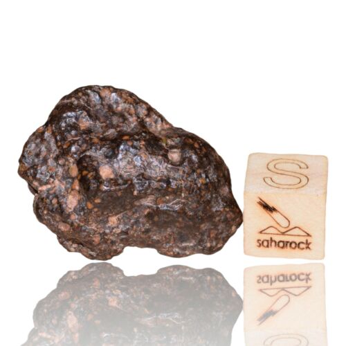 Meteorite CR2 Carbonaceous chondrite Rare NWA 14870 Wonderful 9.59 G Fragment! - MeteoriteNwa.com
