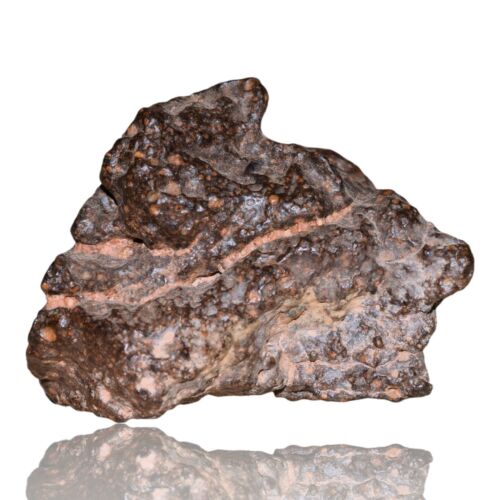 Meteorite CR2 Carbonaceous chondrite Rare NWA 14870 main mass 111.4 G Fragment! - MeteoriteNwa.com