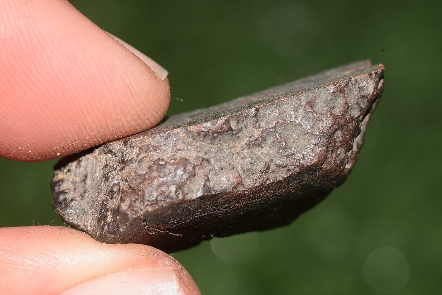 Meteorite chondrite Brownish L6 Nwa 15406 Endcut 10.5 g - MeteoriteNwa.com